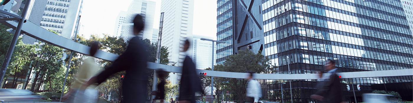 事業内容